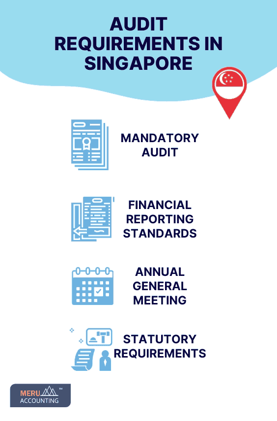 AUDIT REQUIREMENTS